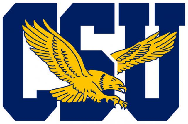 Coppin State Eagles 2017-Pres Primary Logo diy iron on heat transfer